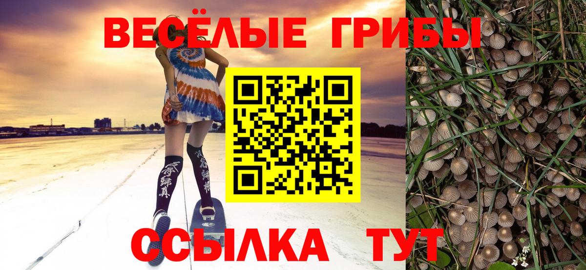 Псилоцибиновые грибы GOLDEN TEACHER Ревда